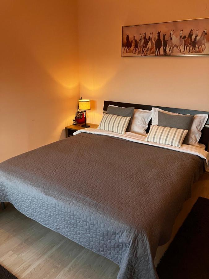 Mirabell - Mountain View & Fireplace * Bansko
